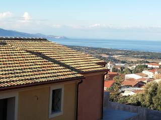 Vista