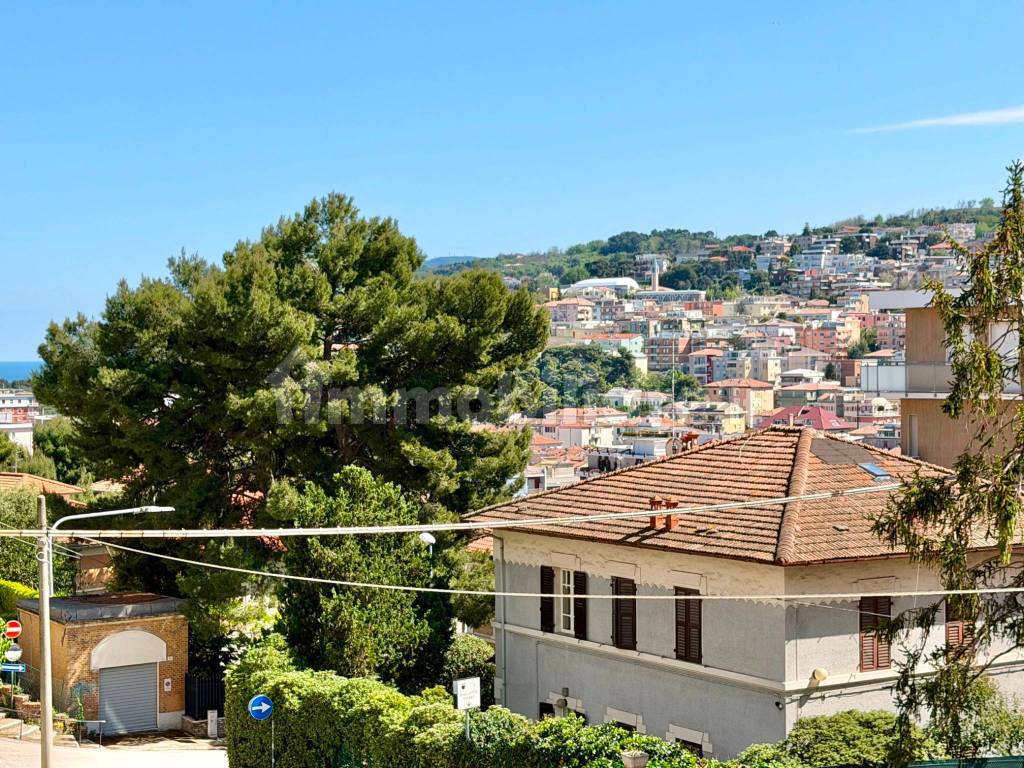 Vista