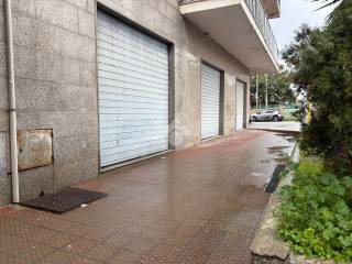 Zona