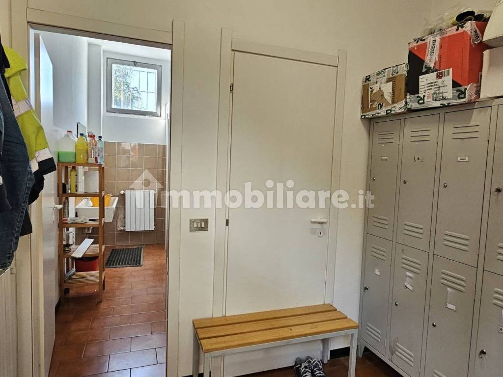 Ingresso