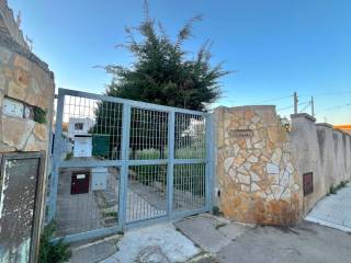 Zona