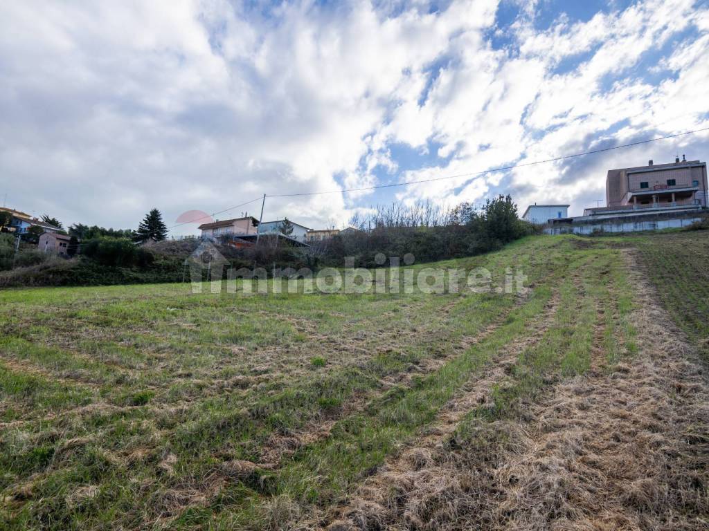 Terreno