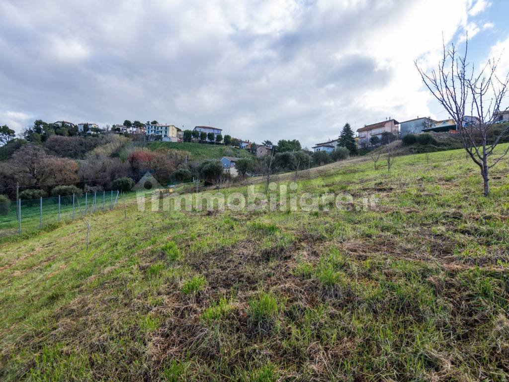 Terreno
