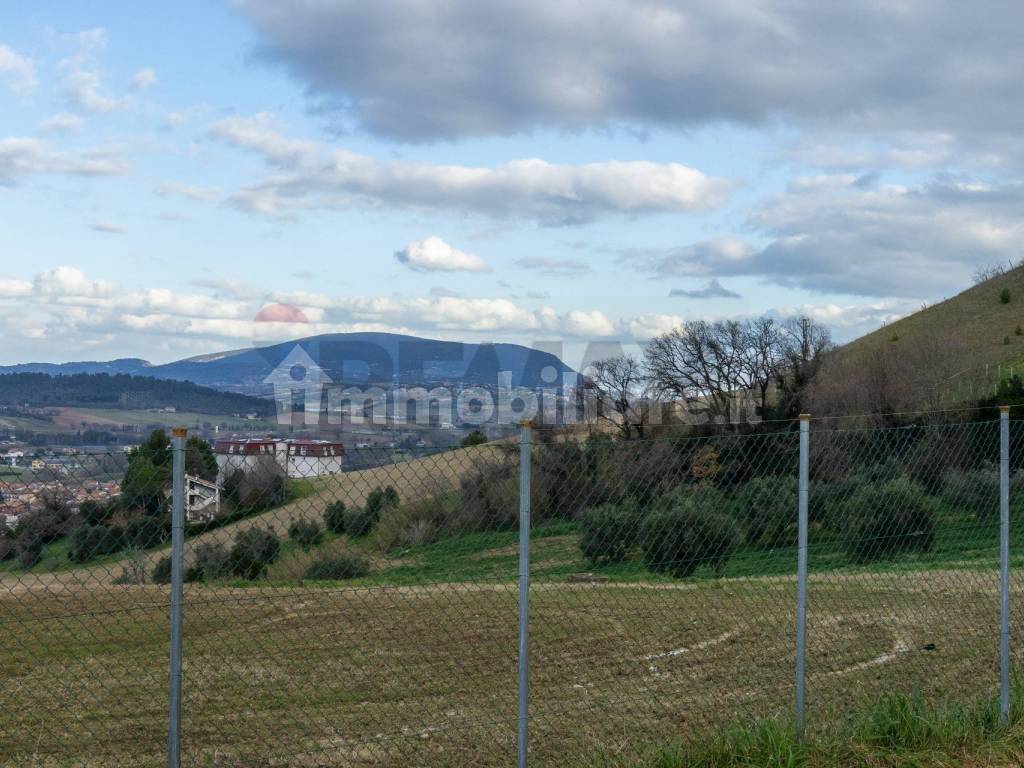 Terreno