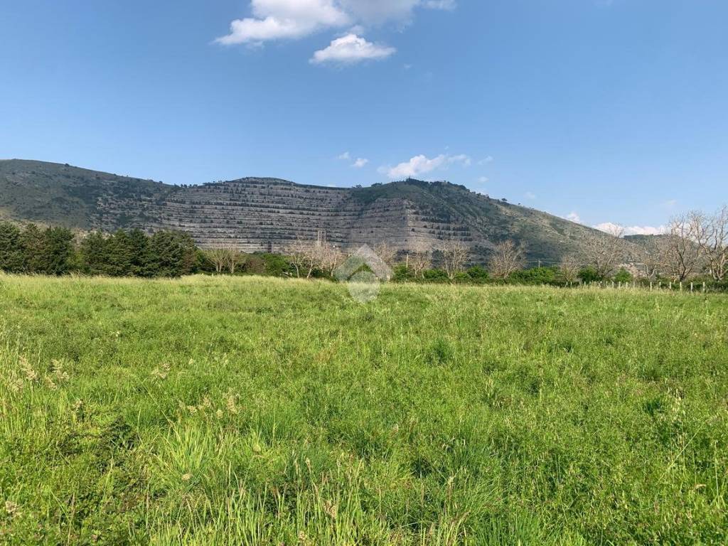 Terreno