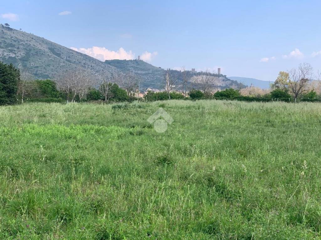 Terreno