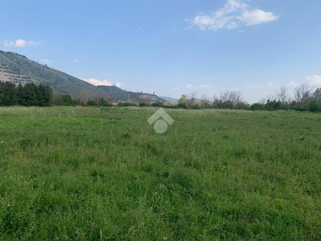 Terreno