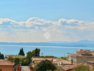Vista
