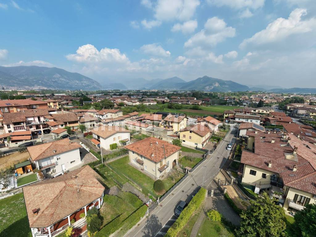 Vista
