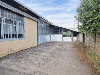 Ingresso
