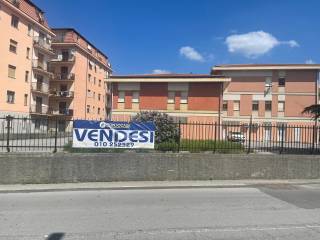 Zona