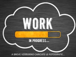 Altro