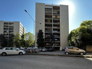 Zona