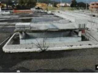 Zona