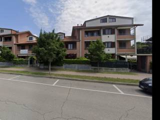 Zona