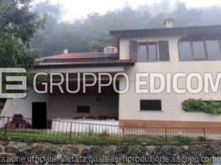 Zona