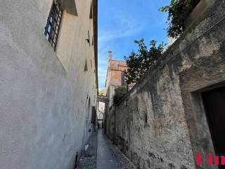 Zona
