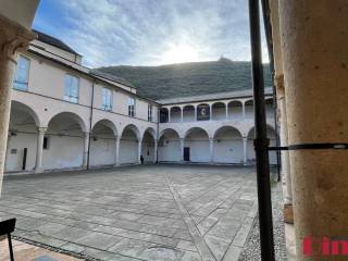 Zona