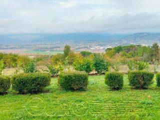 Vista