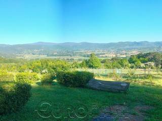 Vista