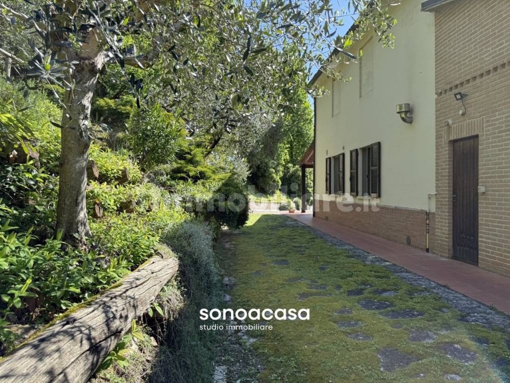 Giardino