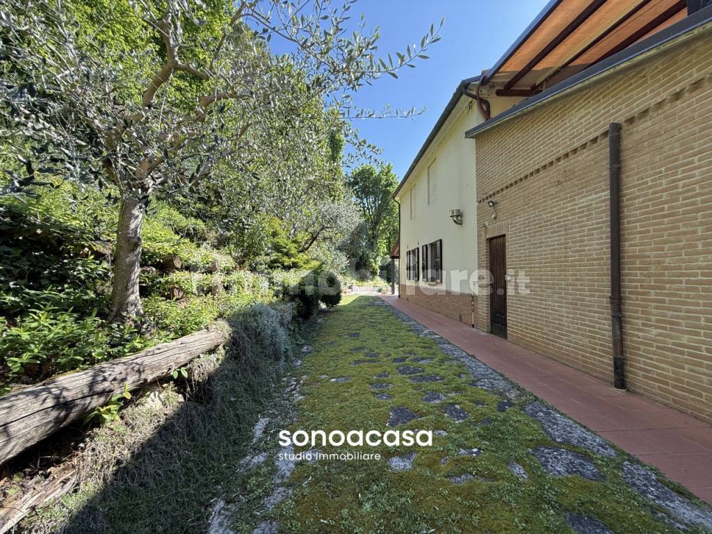 Giardino