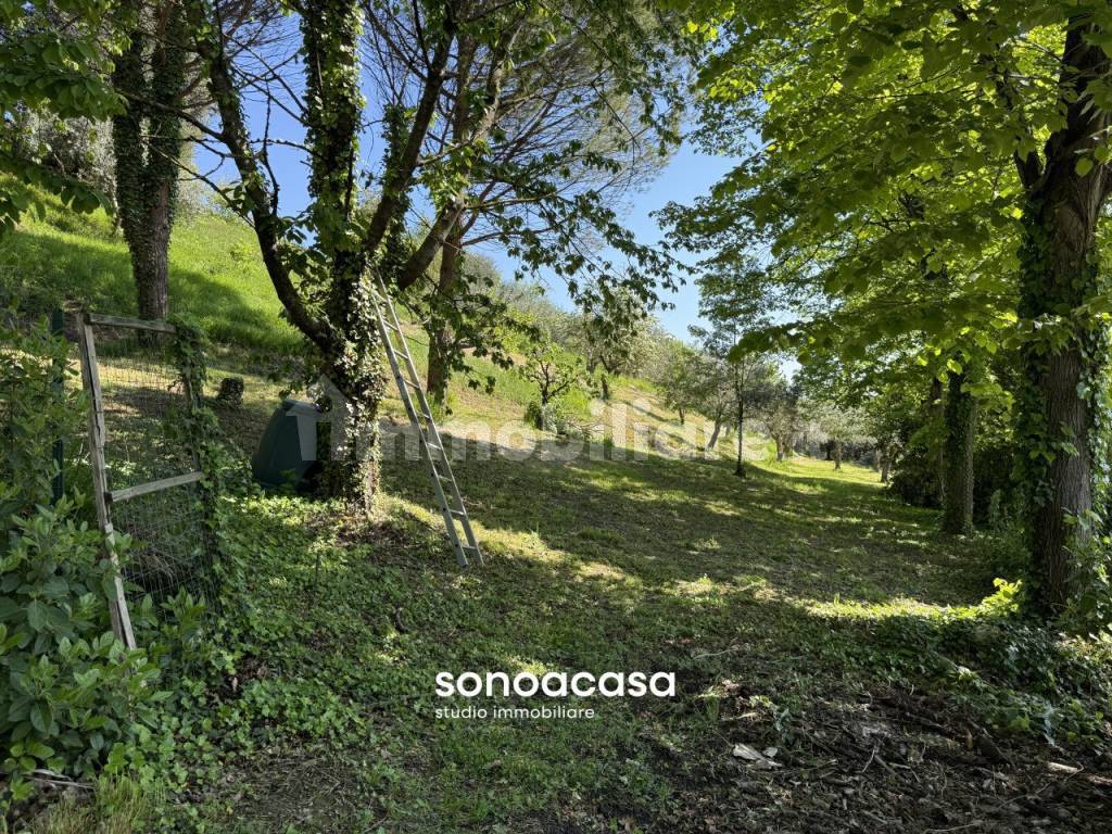 Terreno
