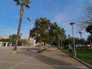 Zona