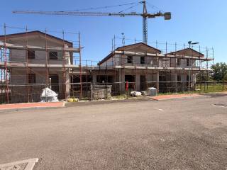 Zona