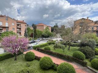 Vista