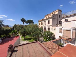 Vista