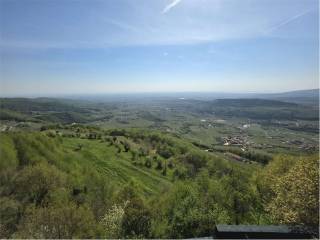 Vista