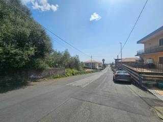 Zona