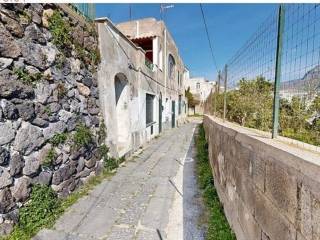 Zona