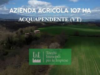 Magazzino