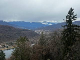 Vista