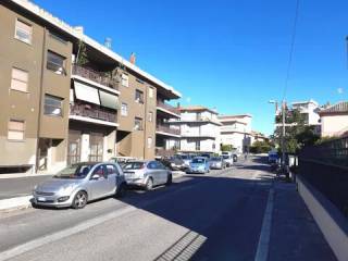 Zona