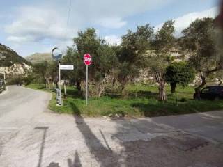 Zona
