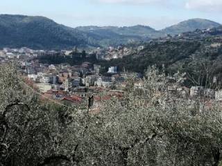 Vista