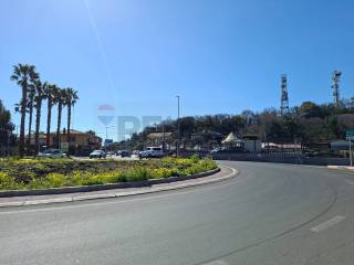 Zona