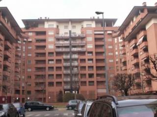 Zona