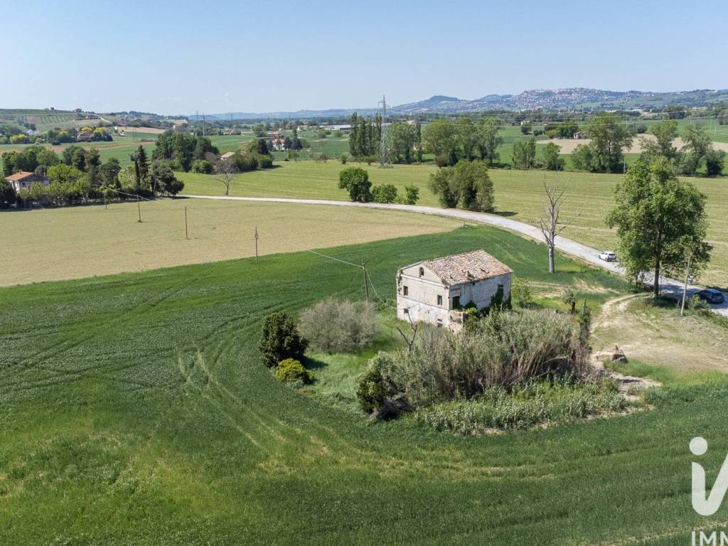Vista