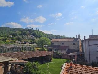 Vista