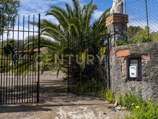 Ingresso