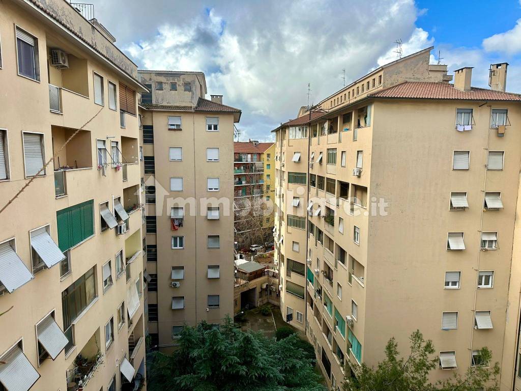 Vista