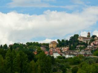 Zona