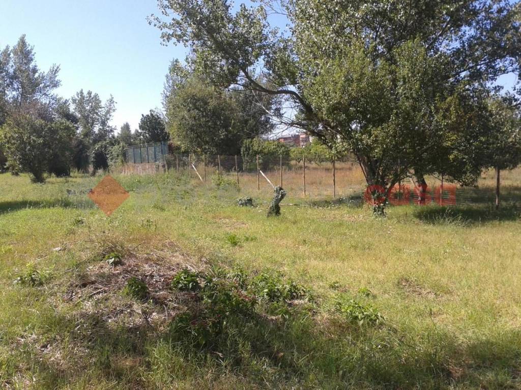 Terreno