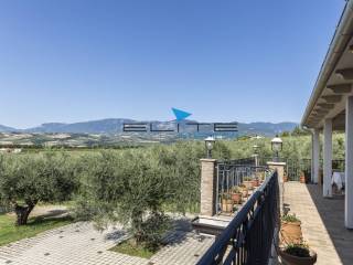 Vista