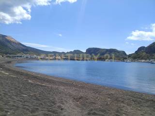 Zona