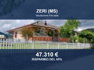 Zona